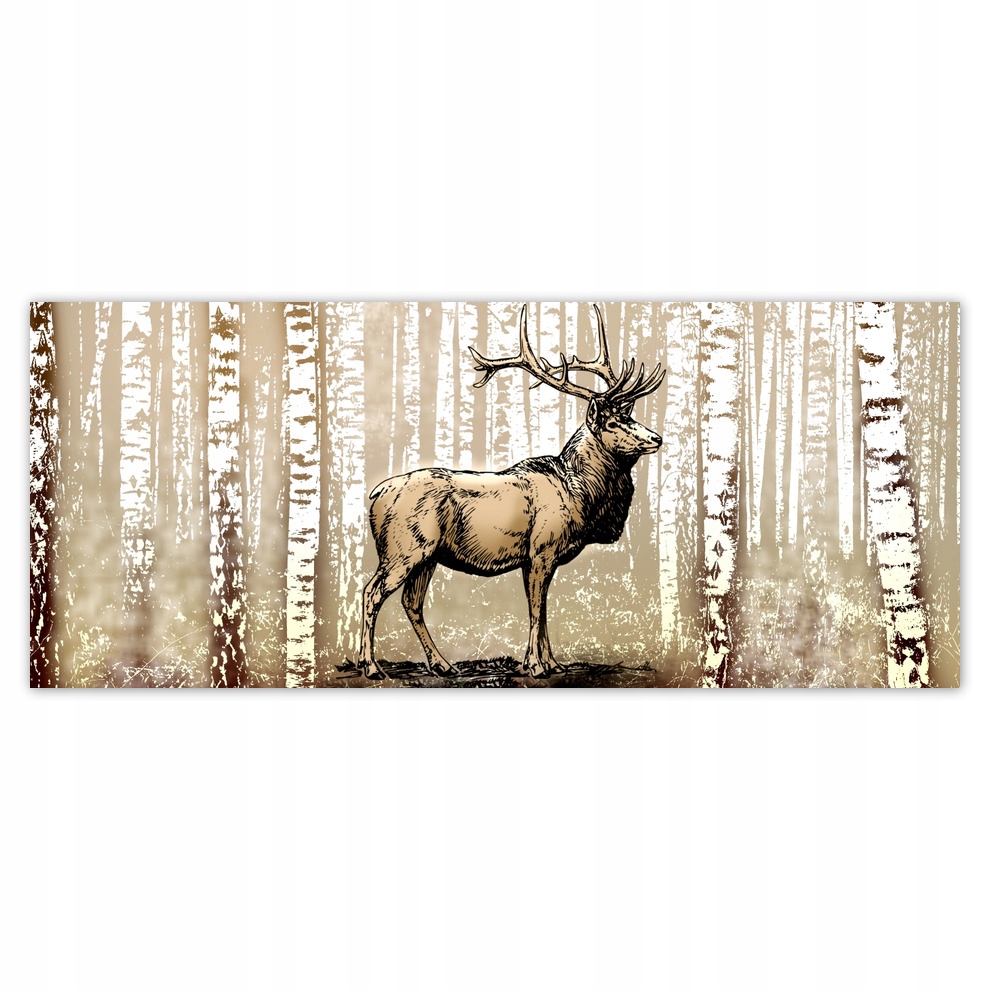 

Fototapety flizelina 250x104 Jeleń Brzoza Las