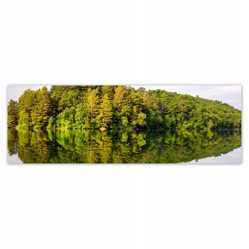 

Fototapety flizelina 312x104 Las Jezioro Chmury