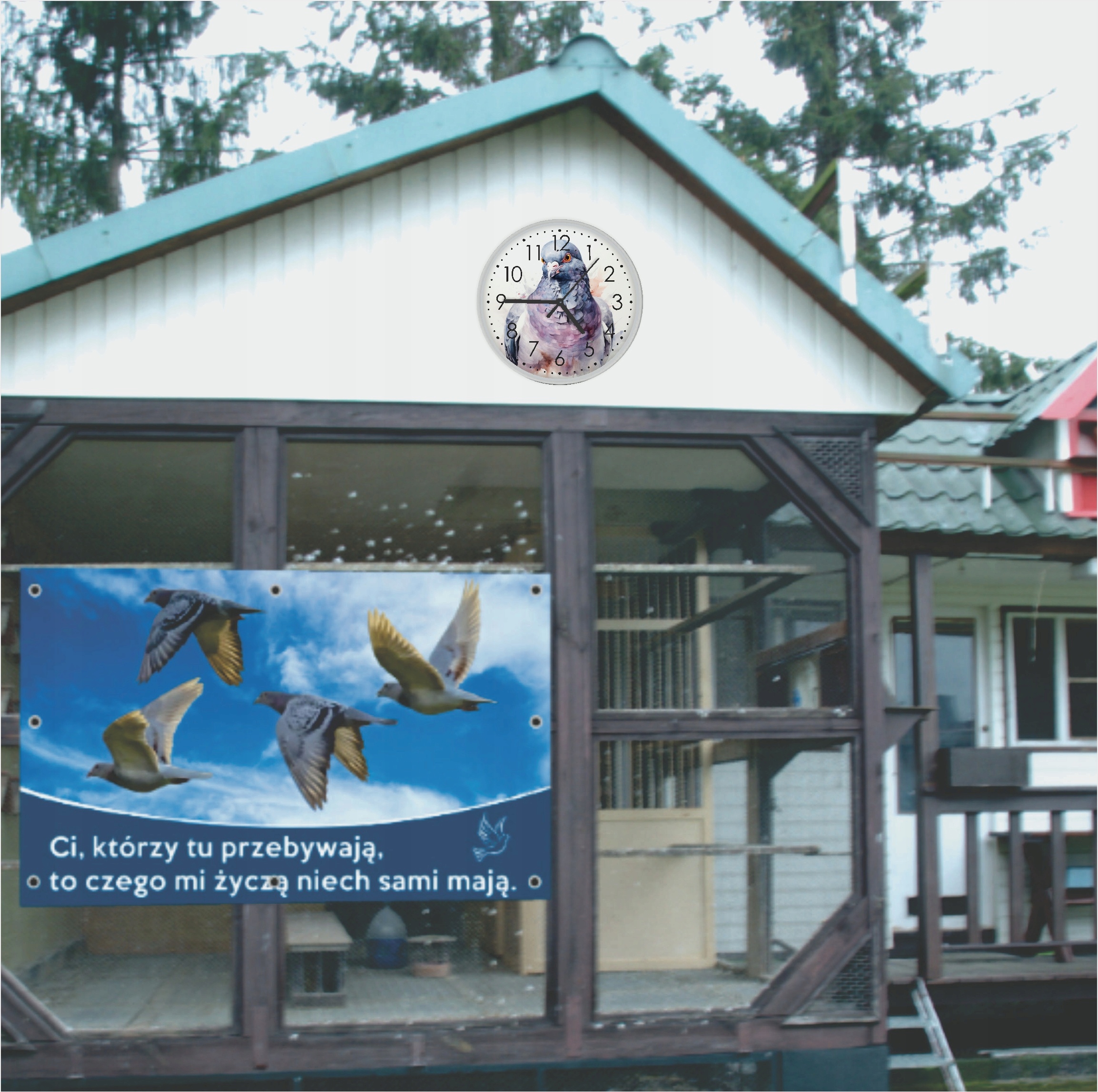 Zegar hodowcy gołębi ścienny portret akwarela Typ ścienny