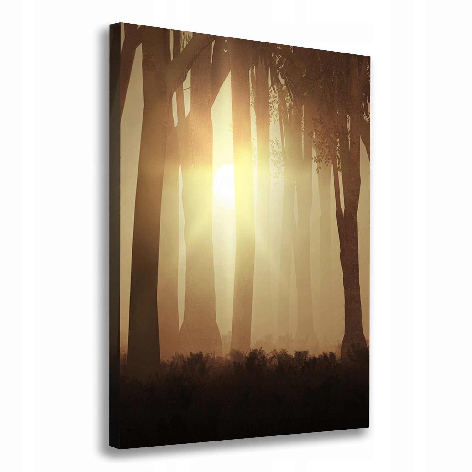 

Foto obraz canvas do salonu Mgłą w lesie 70x100