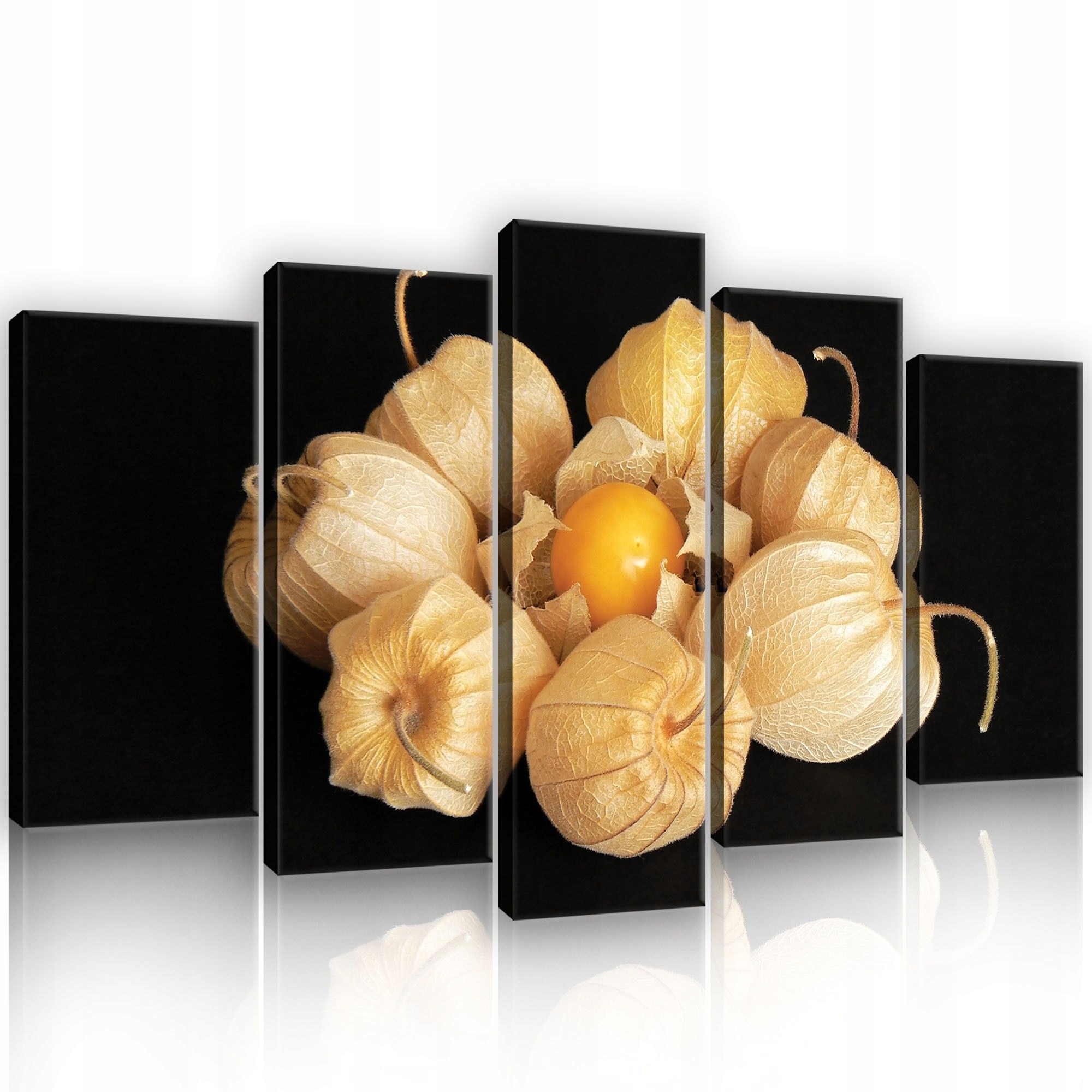 Obraz 100x60 Fizalis bobule podzim zátiší příroda teplá oranžová