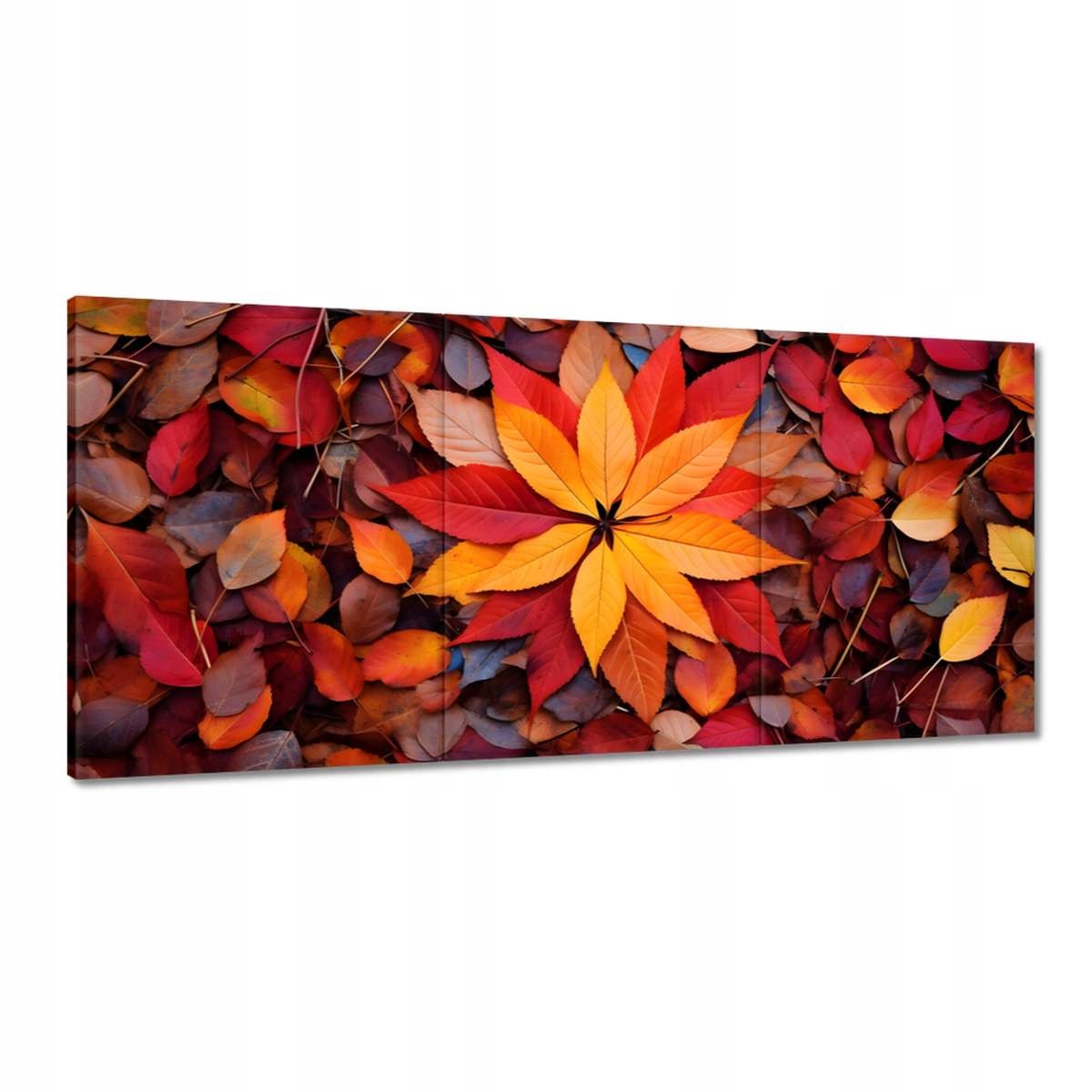 Obrazy 210x100 Jesenné farebné listy