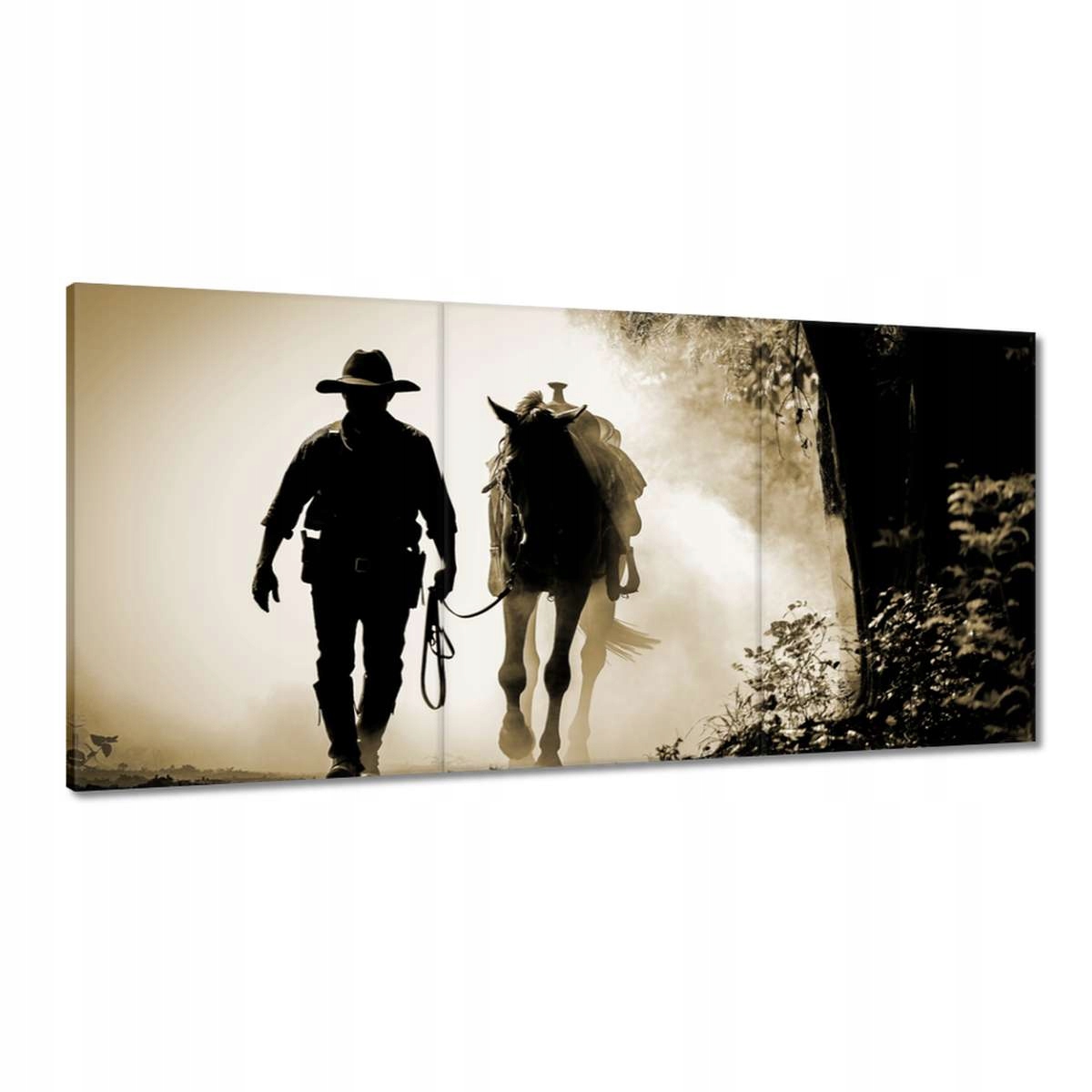 Obrazy 180x90 CowBoy so svojím koňom