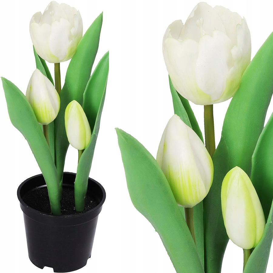 

Tulipany Bukiet Tulipanów Gumowane Gumowe Jak Żywe