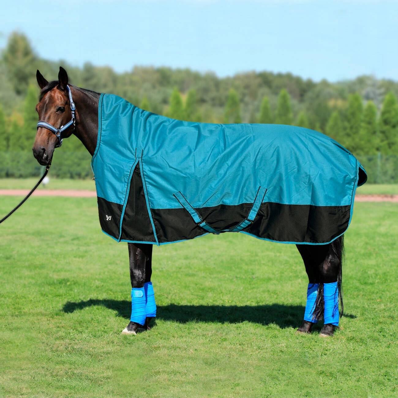 Deka pro koně York Eskimo High Neck, padoková, tyrkysová, vel. 125 cm