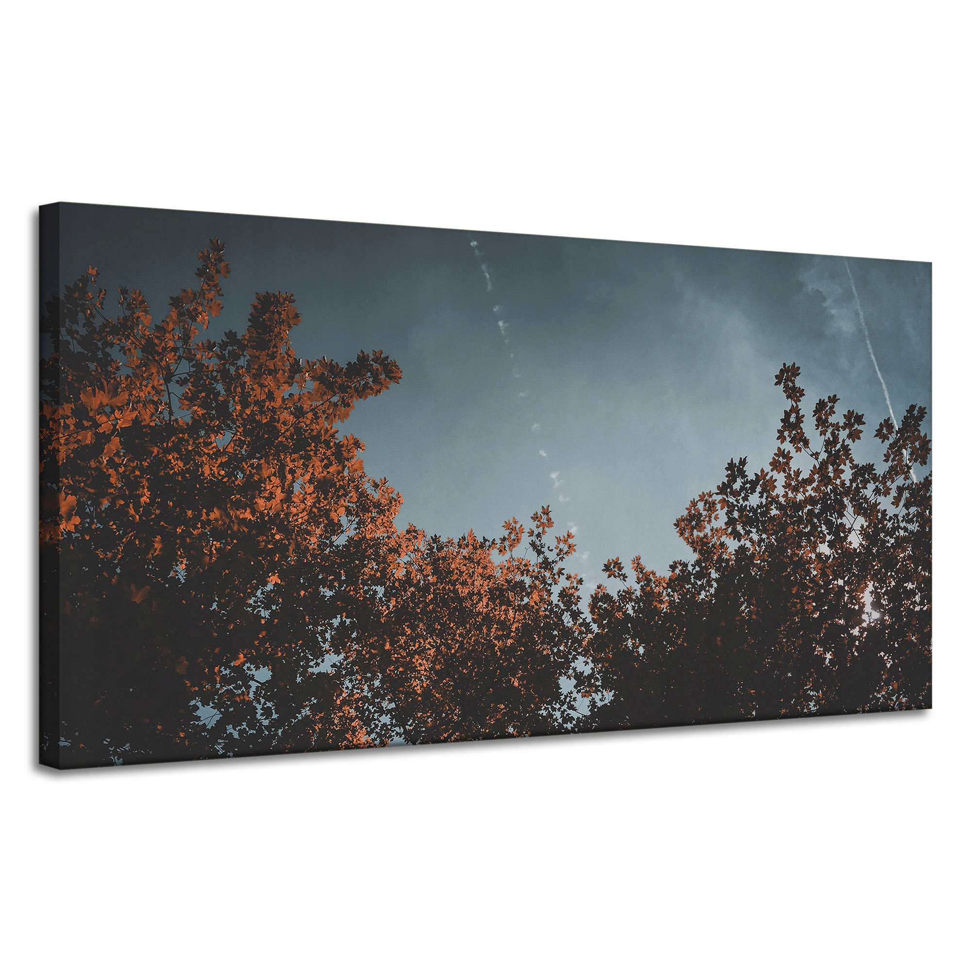 Obraz Canvas Příroda Podzimní koruny stromů 120x60