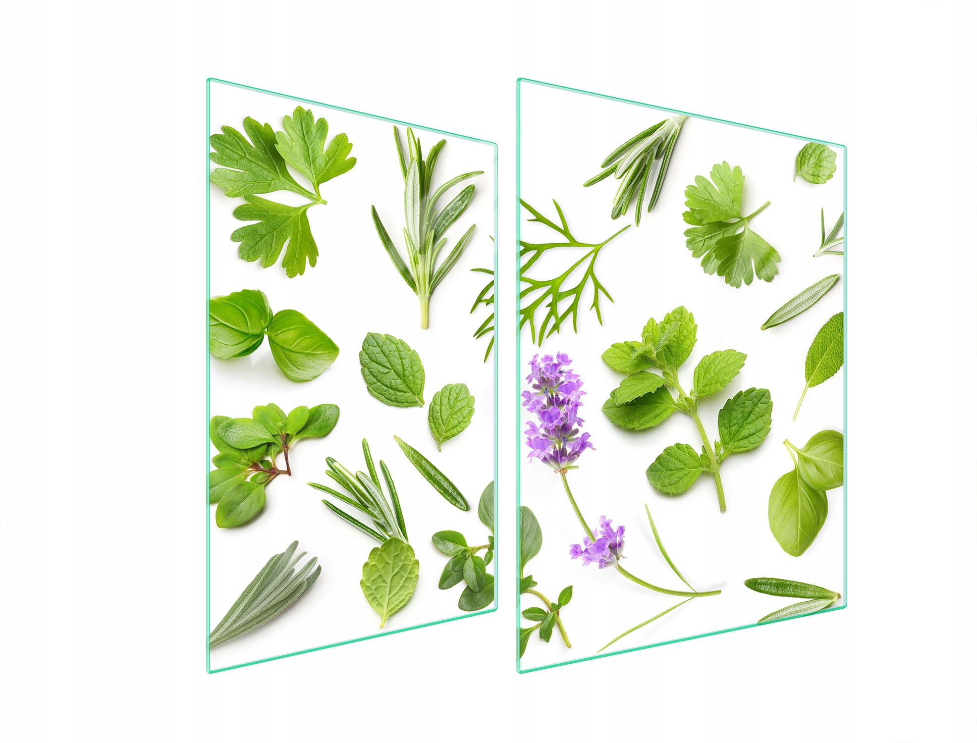 Skleněná Ochranná Deska Na Sporák 70x52 Rostliny Tvrzené Sklo