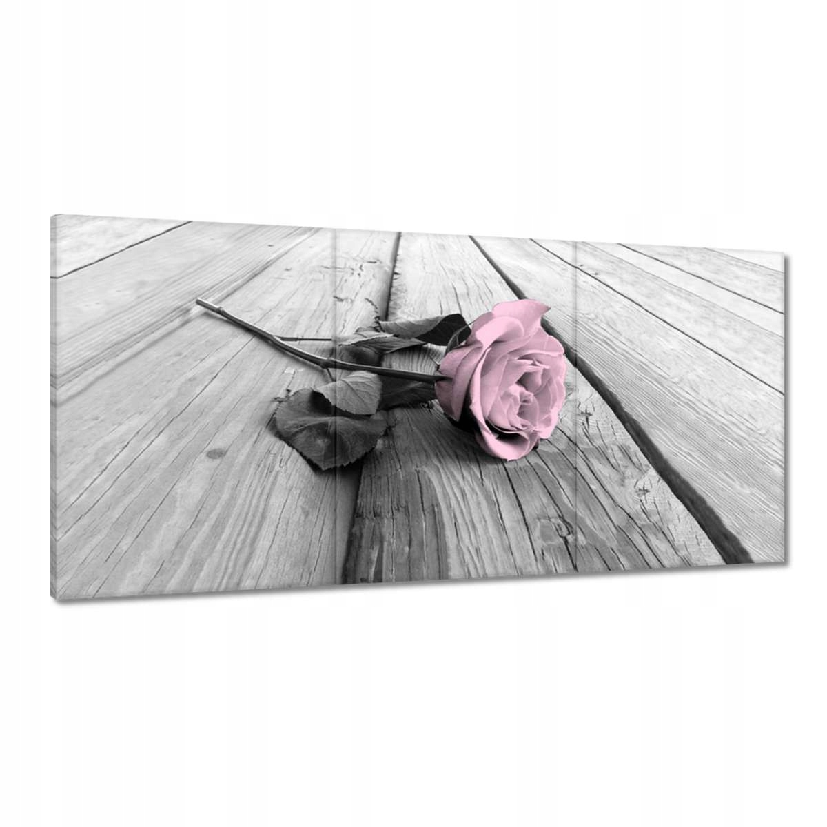 Obrazy 180x90 Pudrová ružová Old pink Rose