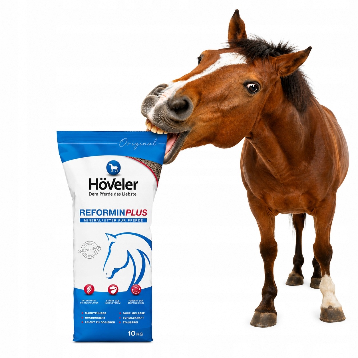 Hoveler Reformin Plus 10kg worek witaminy dla koni