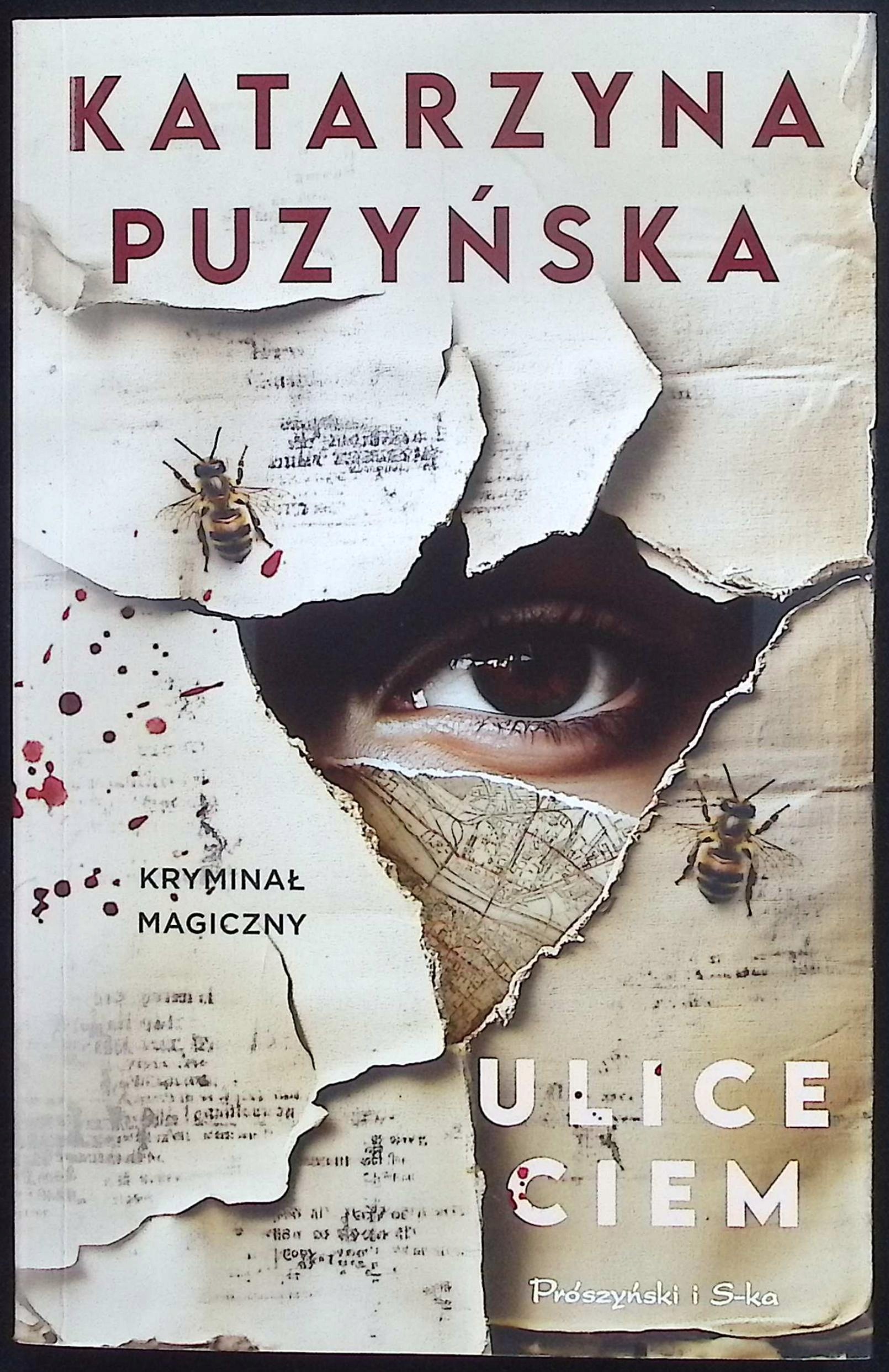 Ulice ciem - Katarzyna Puzyńska
