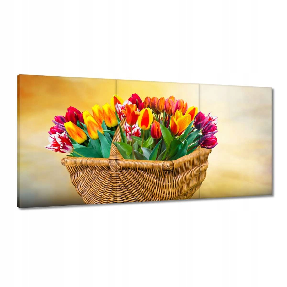 Obrazy 120x60 Tulipány Květiny