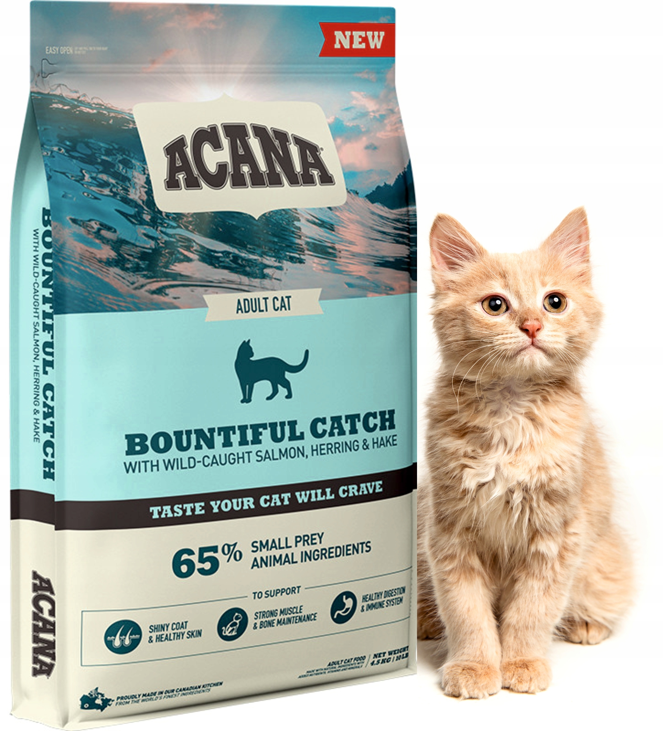 Acana Bountiful Catch sucha karma dla kota 4,5 kg