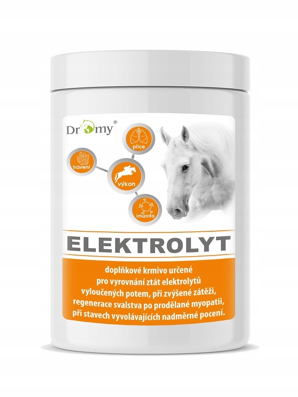 Dromy Elektrolity 2,5 Kg Dla Koni