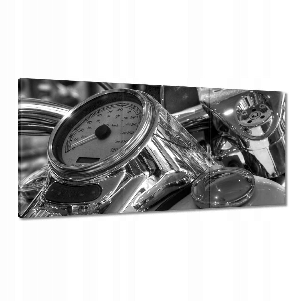 Obrazy 180x90 Harley Davidson Motocykel