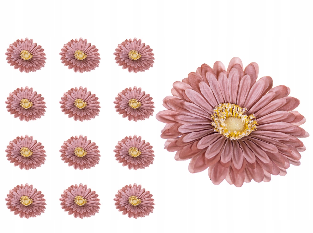 

Gerbera główka jasny brąz 12 sztuk wyrobówka