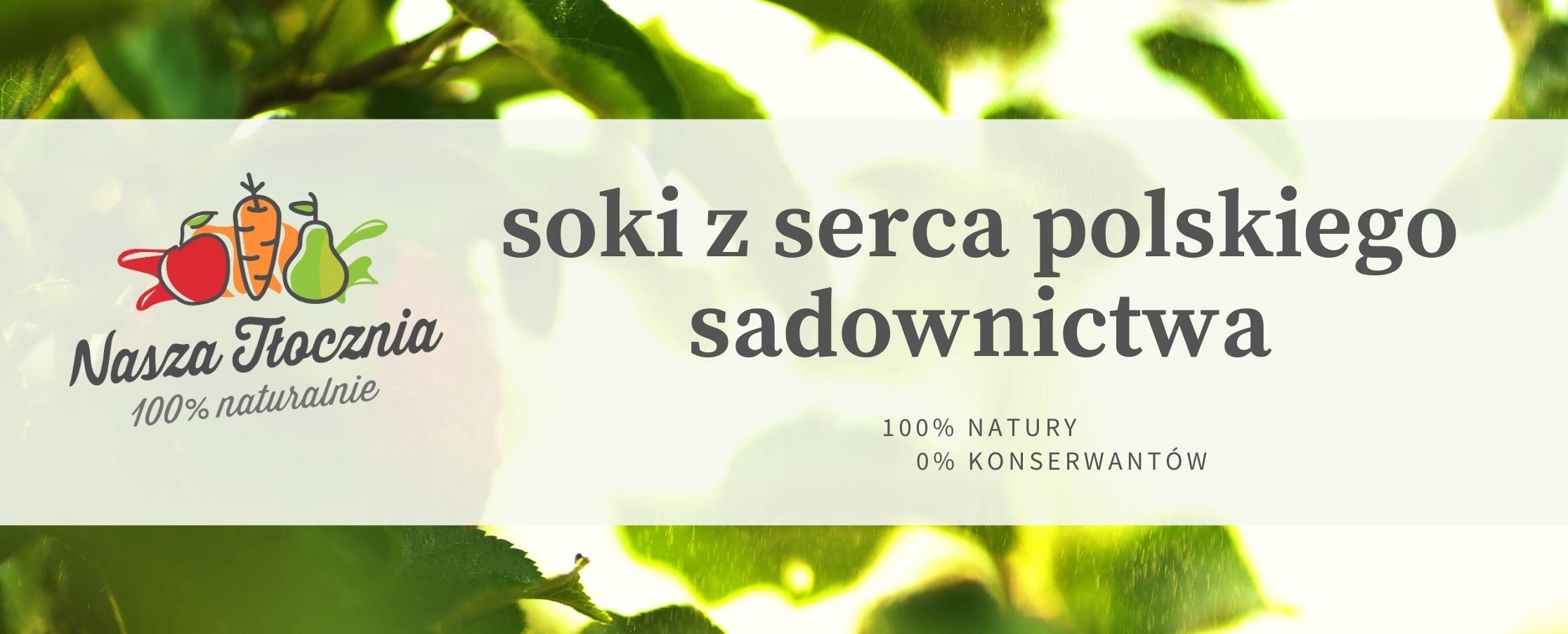 Sok 100% CZARNA RZEPA Mocne Piękne Włosy Otyłość Marka inna marka