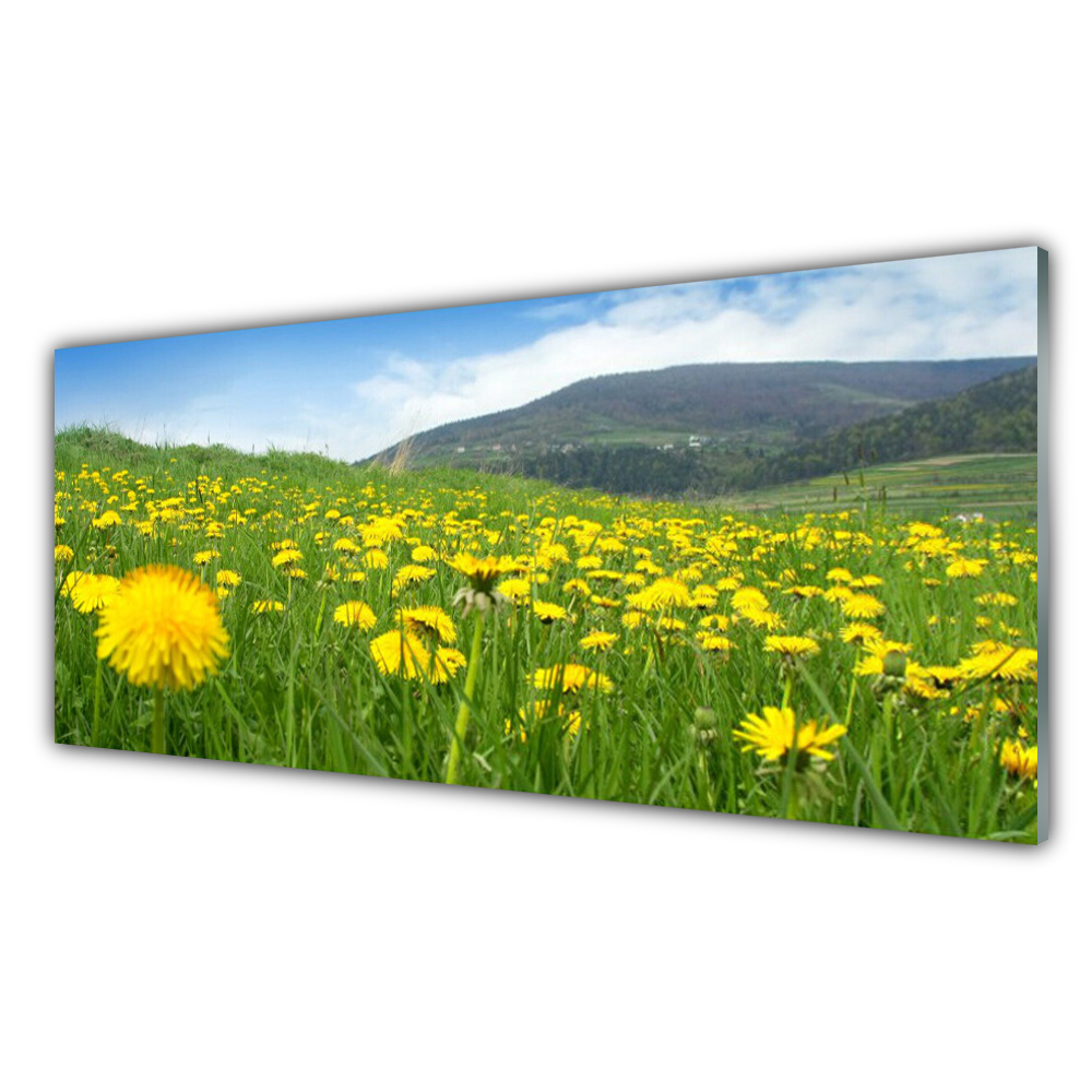 

Obraz akryl wiszący 125x50 Mniszek Lekarski Natura