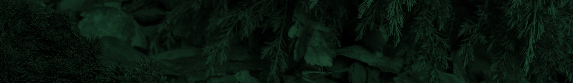 KORA SOSNOWA OGRODOWA GRUBA TORF HUMUS 80L DO ŚCIÓŁKOWANIA PRZECIW CHWASTOM Frakcja 40-60 mm