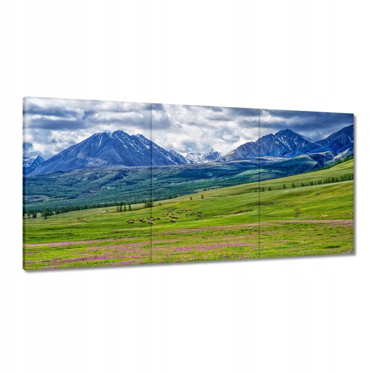 Obrazy 180x90 Pasenie oviec Ovce