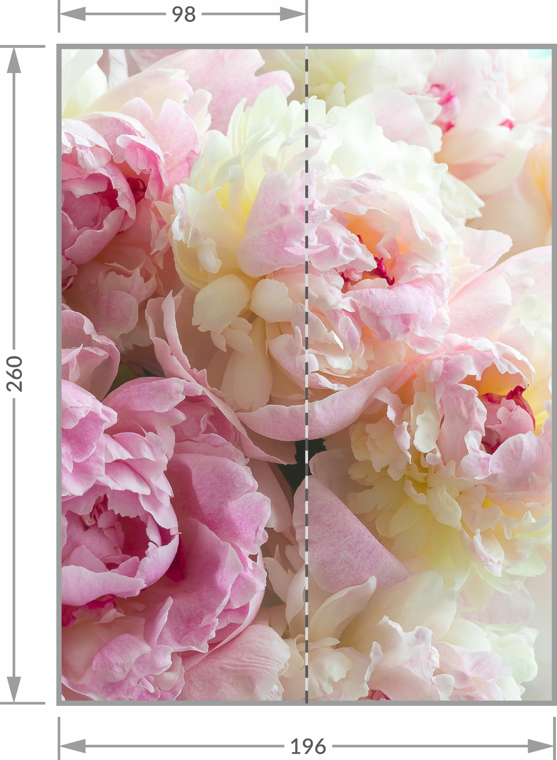 Fototapeta PEONIE PIWONIE KWIATY P03 196x260 Orientacja pozioma