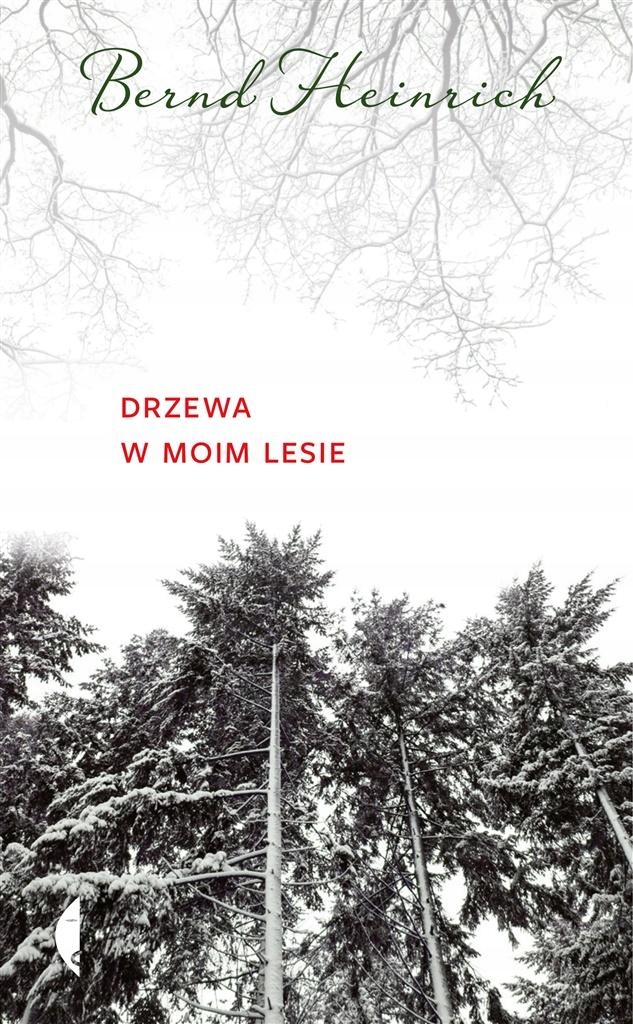 Drzewa w moim lesie-Zdjęcie-0