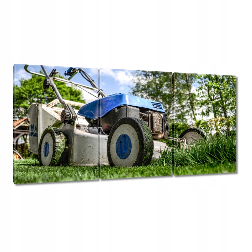 

Obrazy 120x60 Kosiarka spalinowa