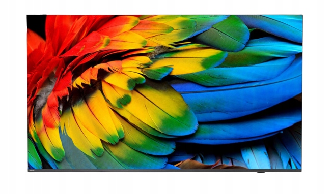 75" Htv Philips 75HFL6214U Business Tv