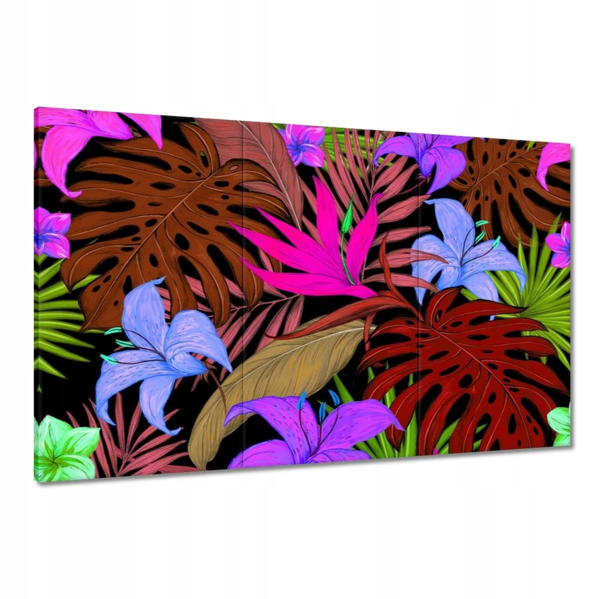 Obrazy 120x80 Podzimní Monstera Tropiky