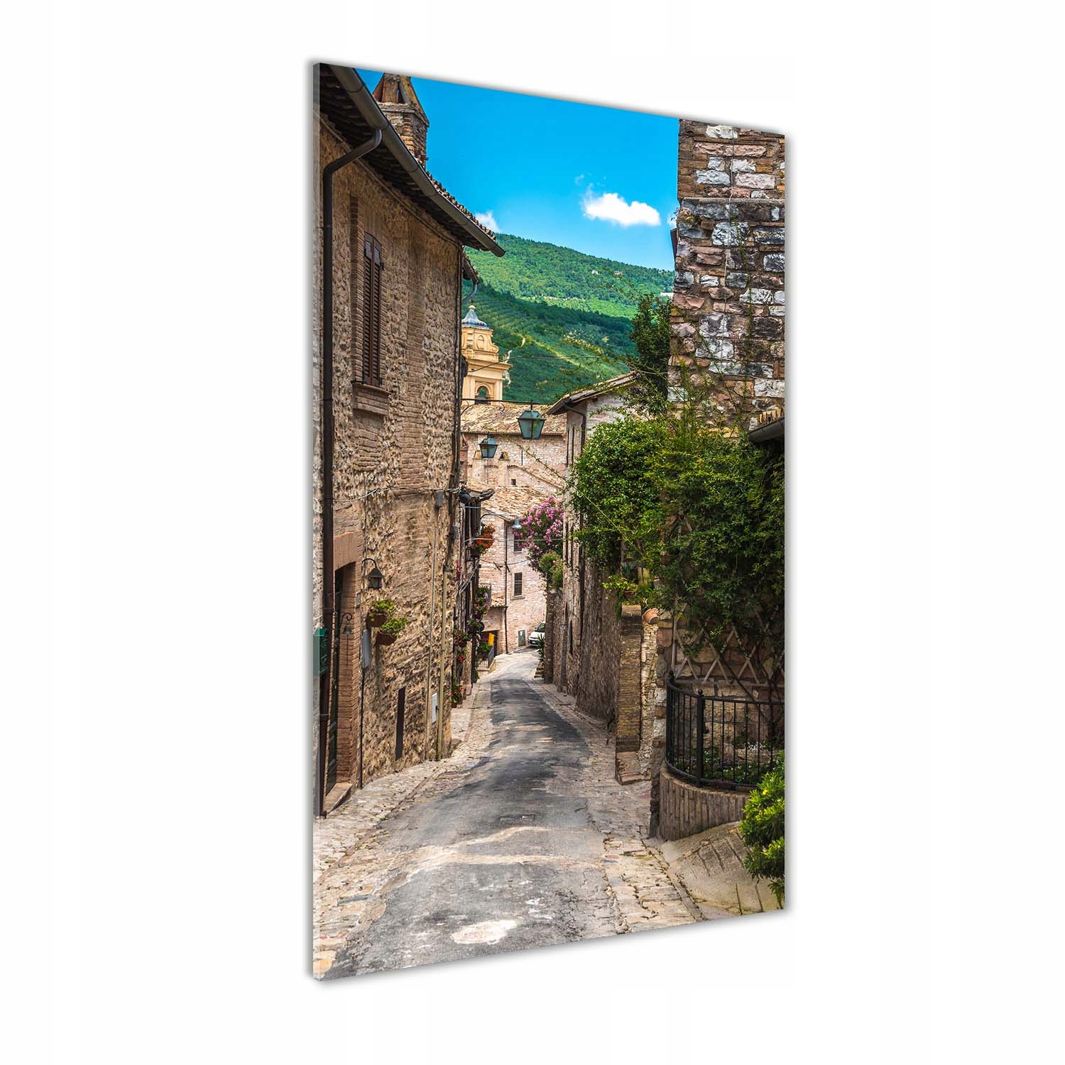 Fotoobraz akrylové sklo Očarujúca ulička 70x140