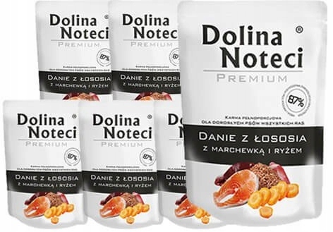 

Dolina Noteci Danie z łososia z marchewką 10x300g