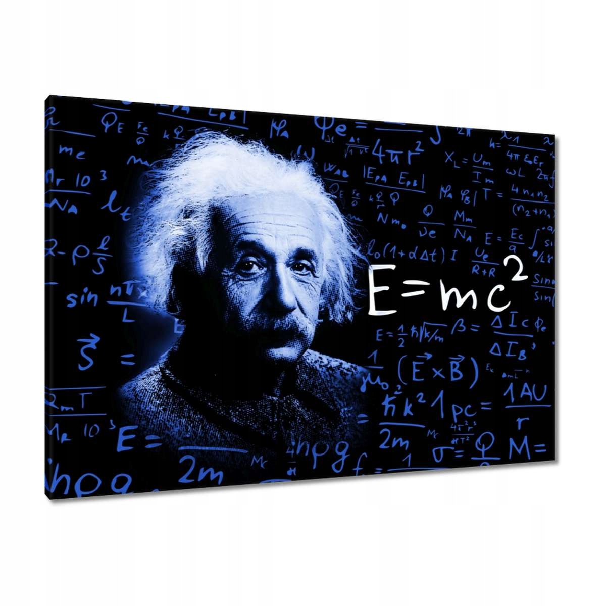 Obrazy 100x70 Einstein Classic Blue