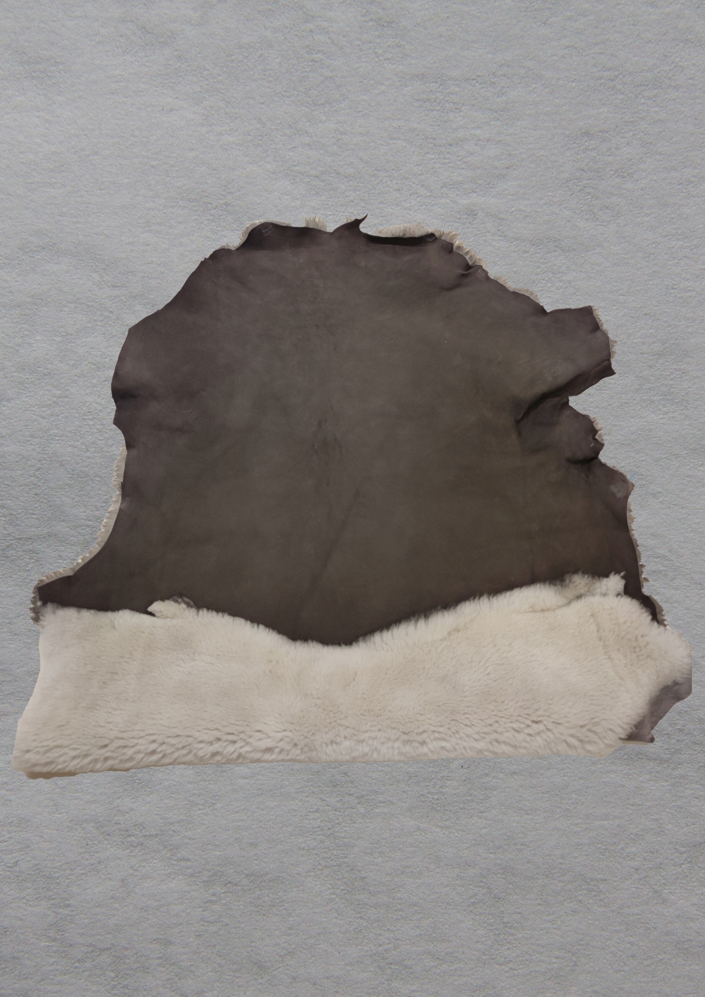 Přírodní kožichová velurová kůže kol. hnědá, vlas v kol. chladné béžové