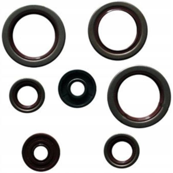 sada silných tesniacich prvkov Ktm Enduro 690 LC4 08-10 Nová