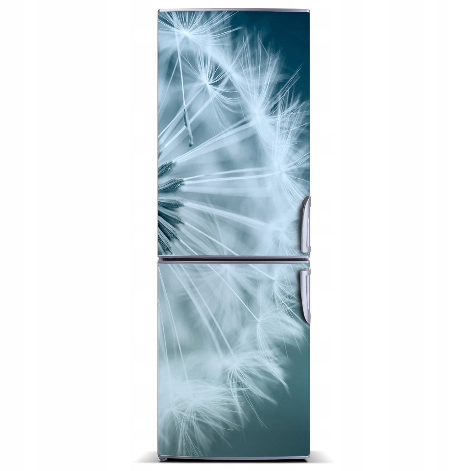 Foto Magnet Tapeta na ledničku Pampeliška 60x180