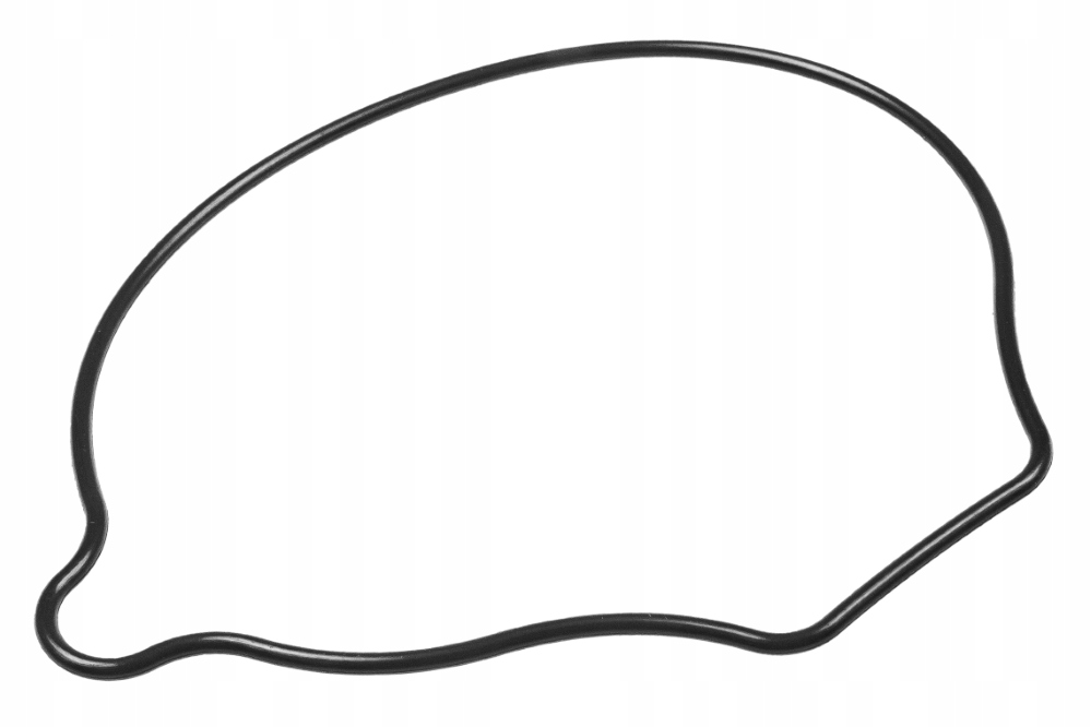 Uszczelka pokrywy pompy wody, Honda Cbr 600 F 99-06 19226-MBW-000