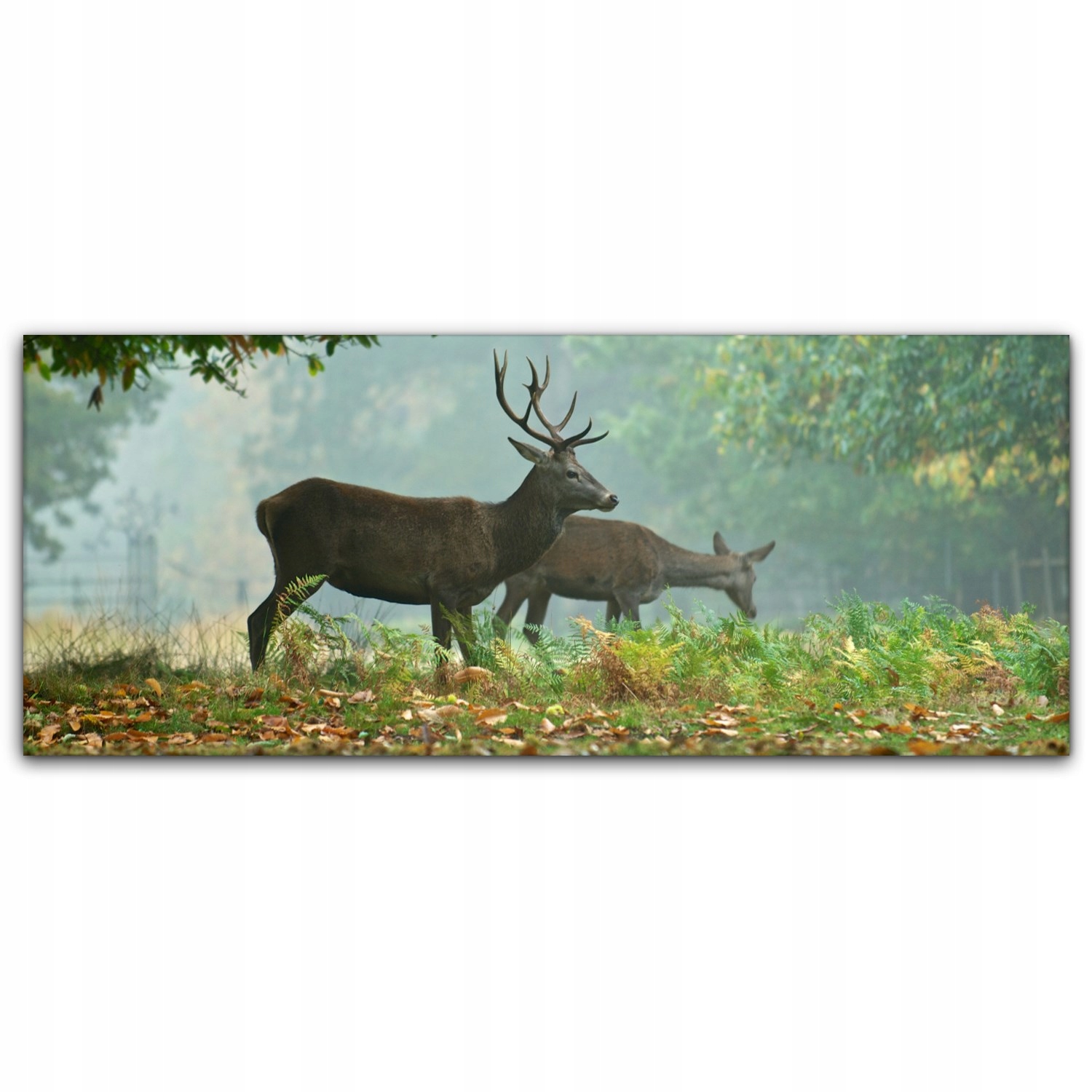 

Obraz Canvas dekoracja 125x50 Jeleń Łąka Zwierzę