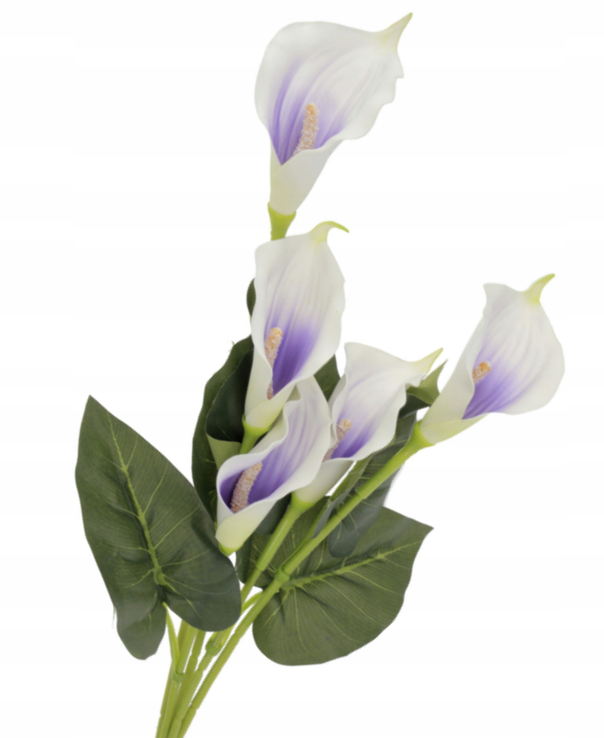 

Gałązka Kalia Sztuczna Calla 5 Kwiatów 85cm