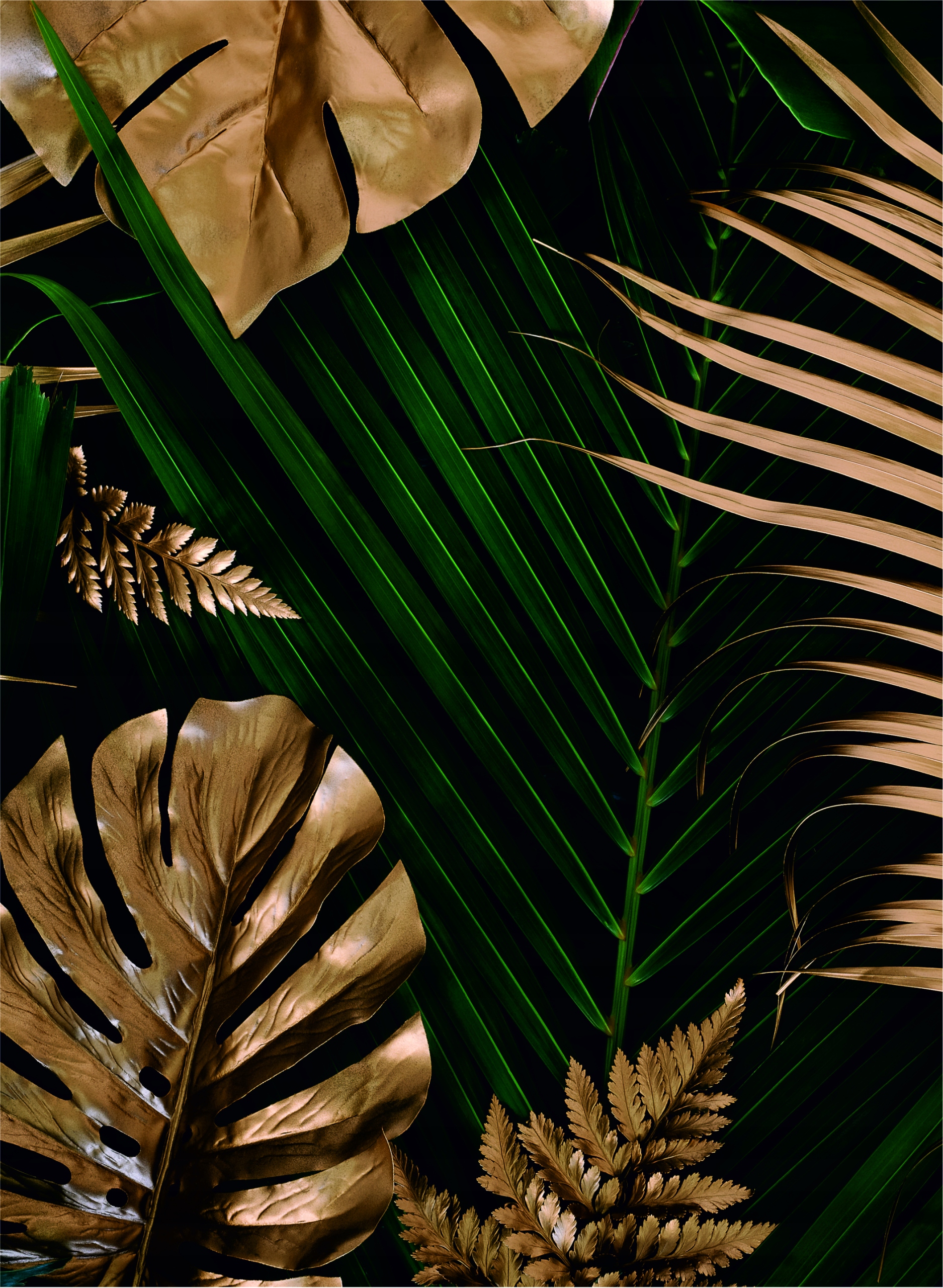 

Fototapeta 3D Złote Liście 12 200x270cm Flizelina