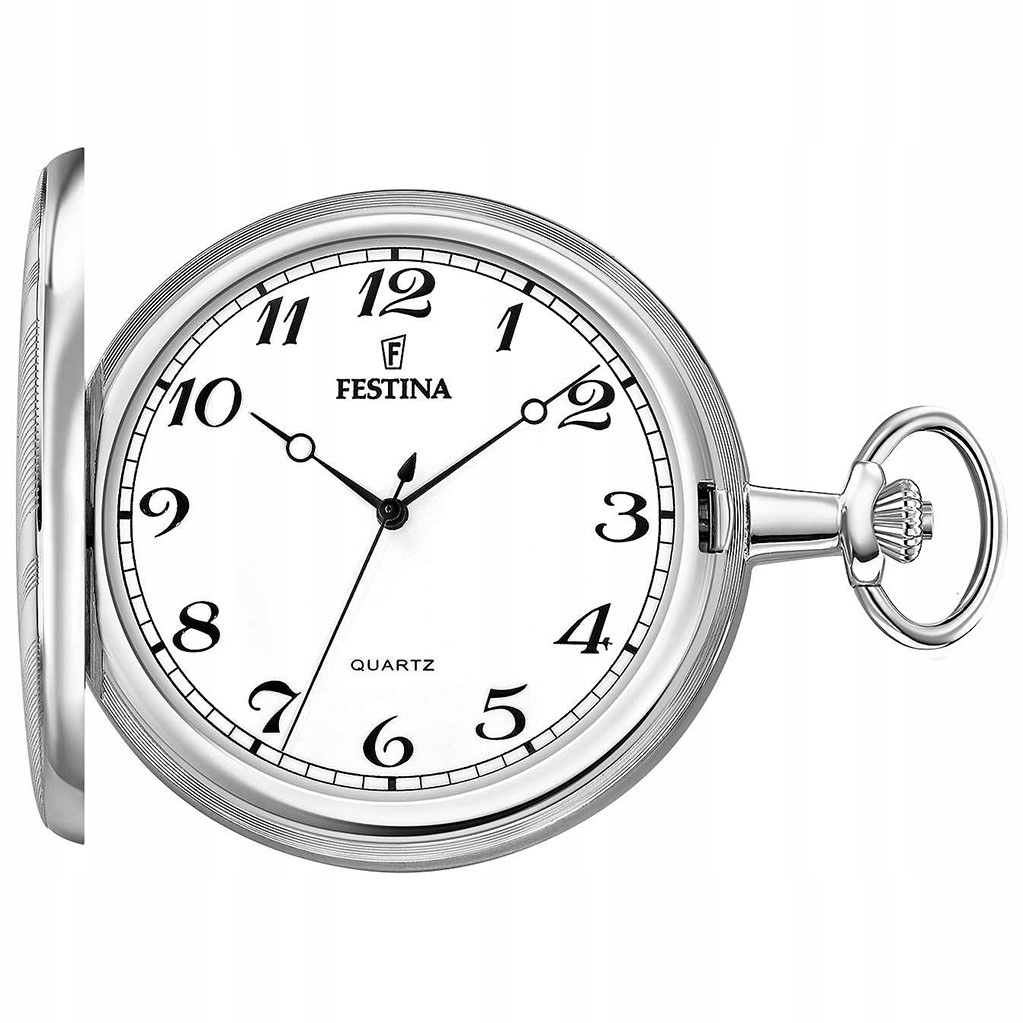 Pánské Hodinky Festina F2022-1 stříbrné