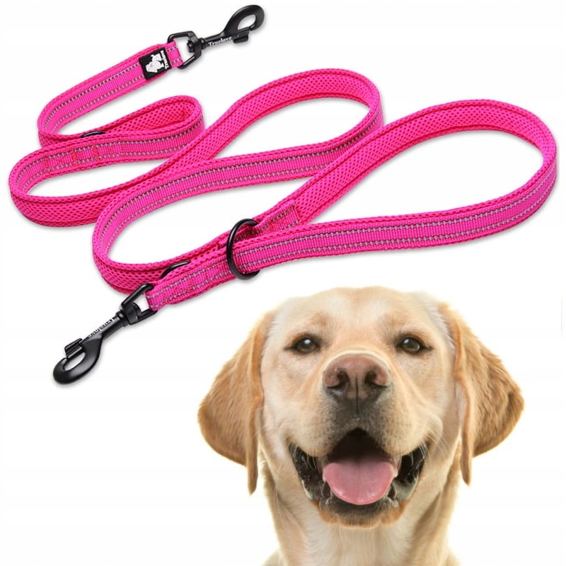Levně Vodítko Pro Psa S Reflexním Zapínáním Truelove Active Pro+ 250 CM Růžová L