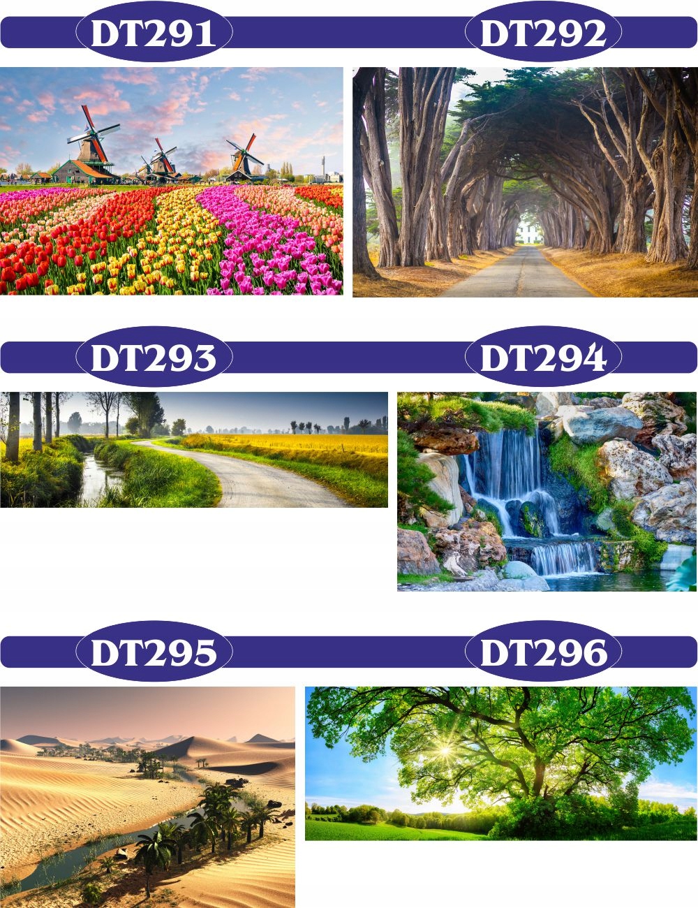 FOTOTAPETA 3d widoki wodospad most las drzewa Kod producenta 66