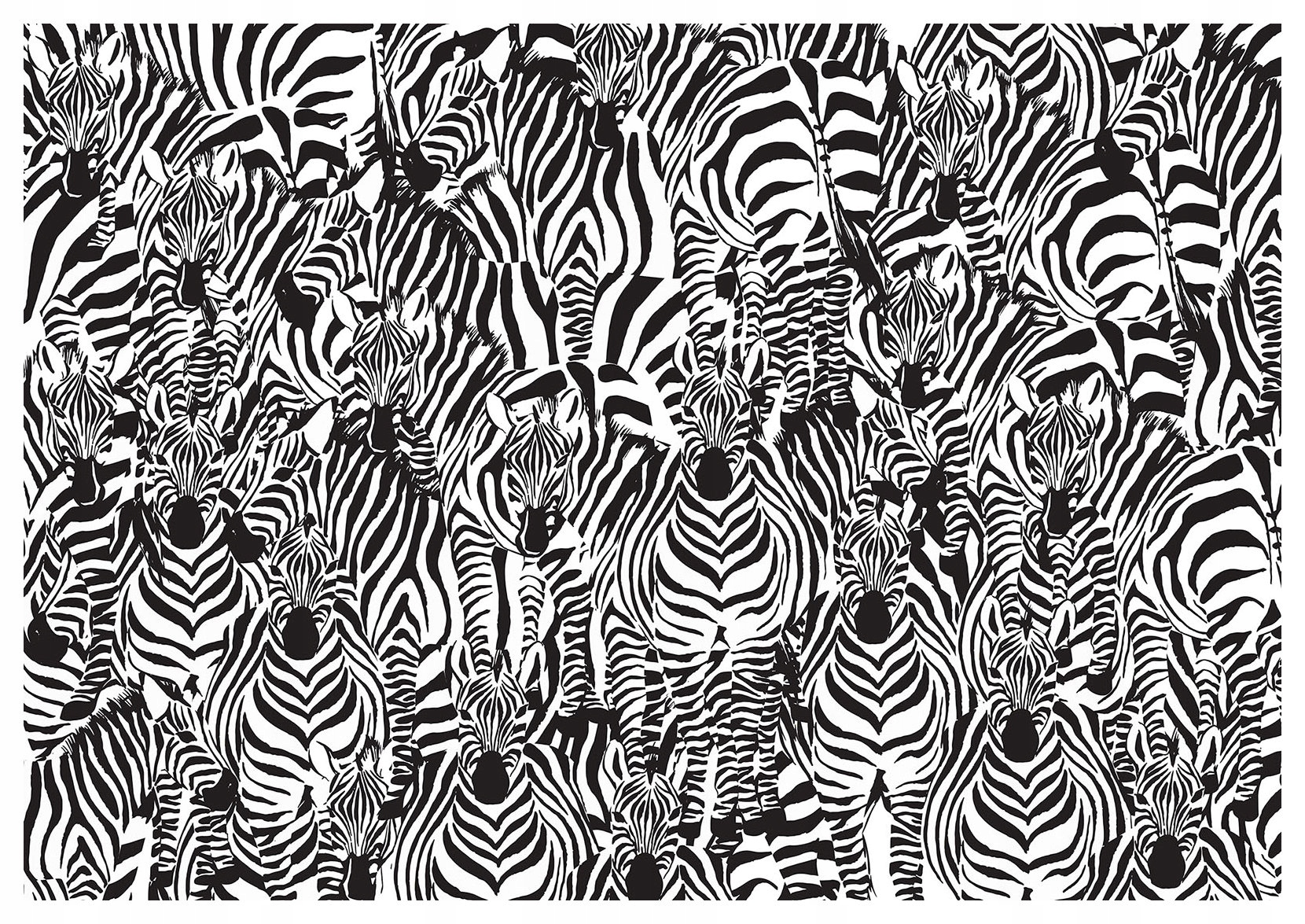 Fototapeta Zebra vinylová Africký vzor kontrasty 254x184 do obývacího pokoje lepidlo