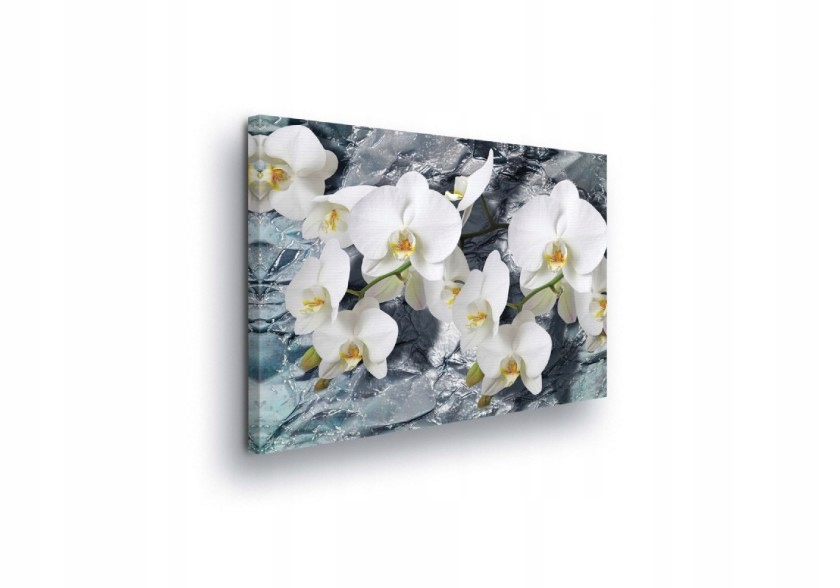 Obraz 100x75 Orchideje bílé květy kameny klid příroda svěžest lesk