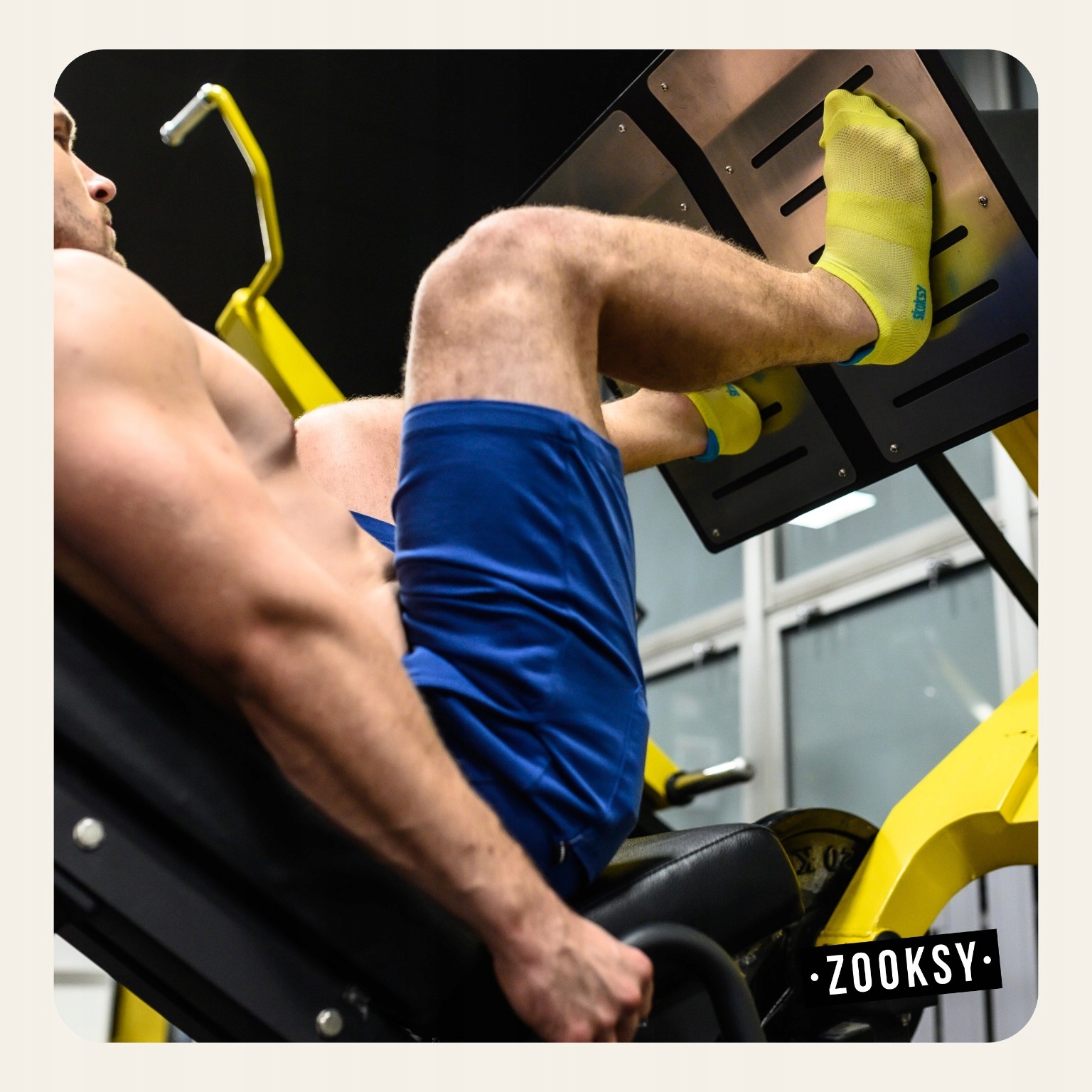 8x Skarpetki ABS Antypoślizgowe Damskie Joga Fitness Siłownia 41-46 STOPKA Rozmiar 36-40