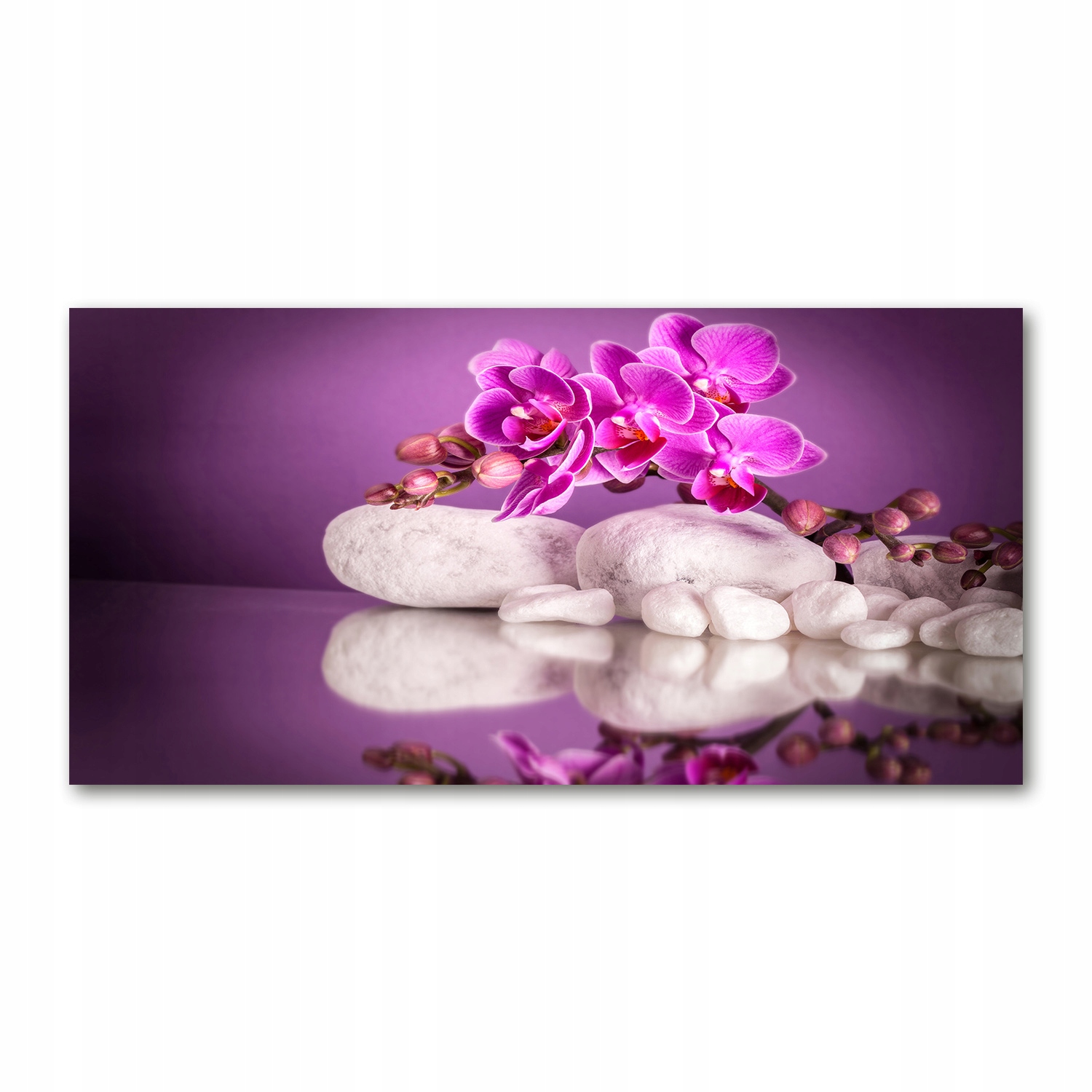 

Foto obraz akryl Różowa orchidea zdjęcie 140x70 cm