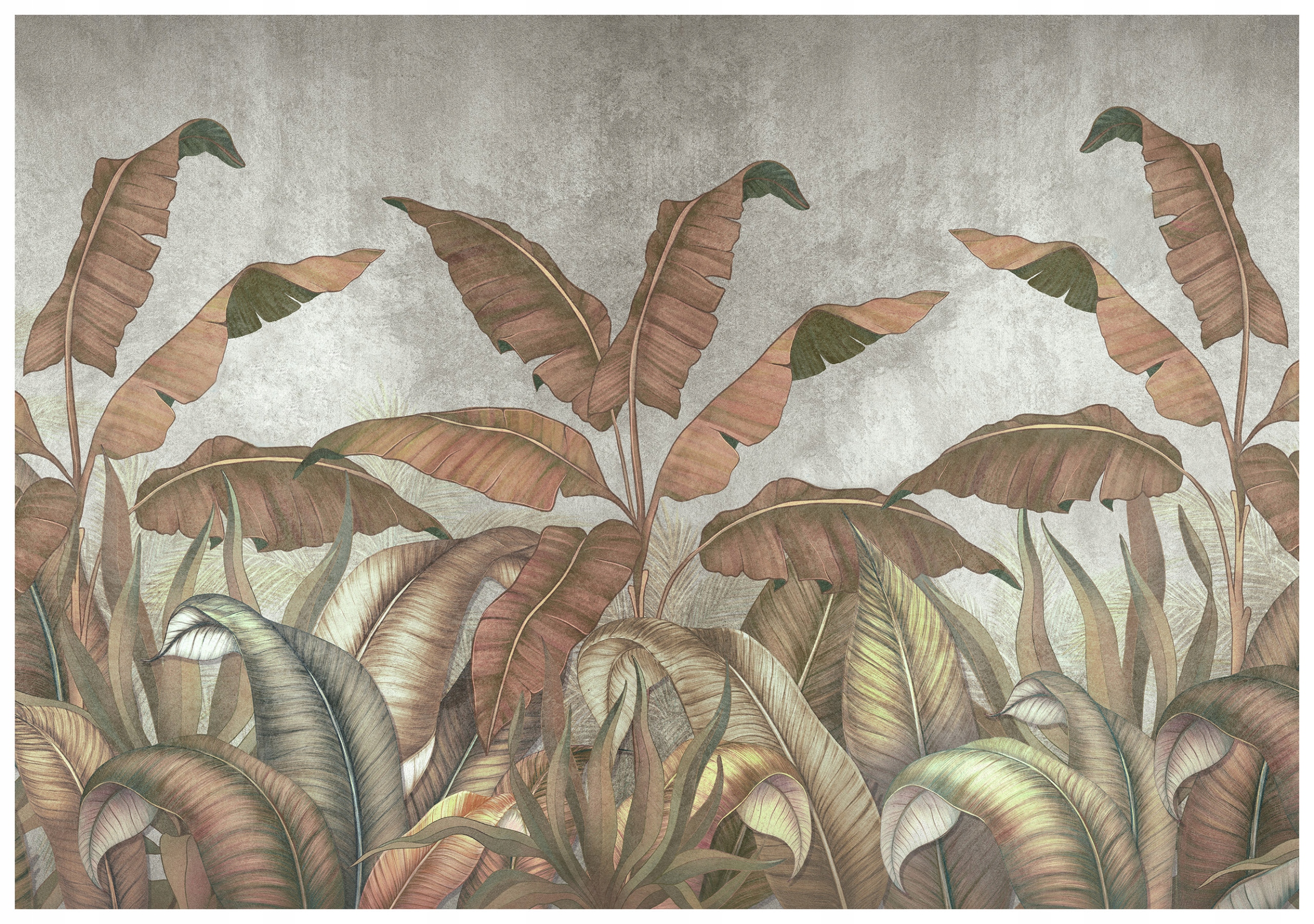 Fototapeta Listy banánovníku džungle tropická příroda 300x210 lepidlo