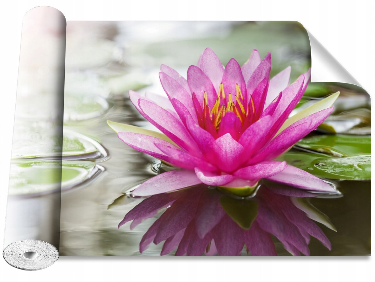 

Tapeta Samoprzylepna Różowy lotos 152x104