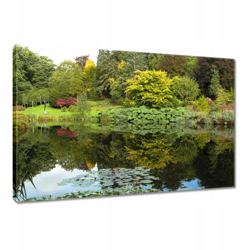 

Obrazy 90x60 Parkowe odbicie