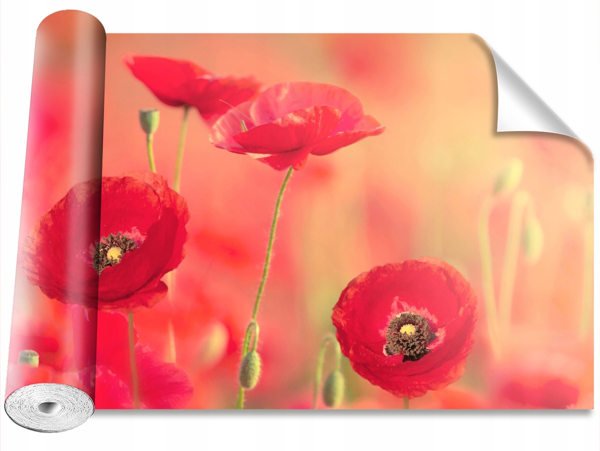 

Tapeta Samoprzylepna Czerwone maki 208x146