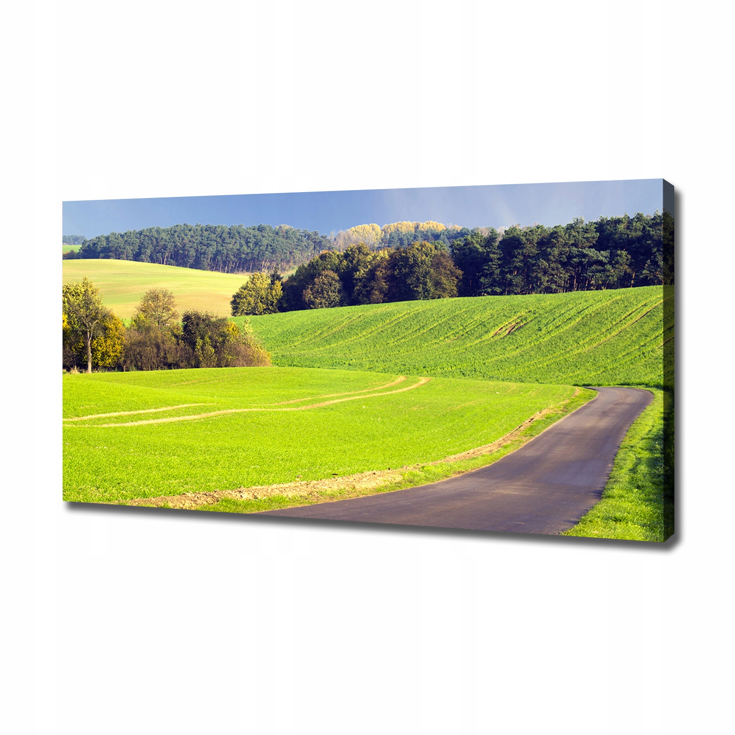 Fotoobraz canvas na zeď Polní cesta 120x60 cm